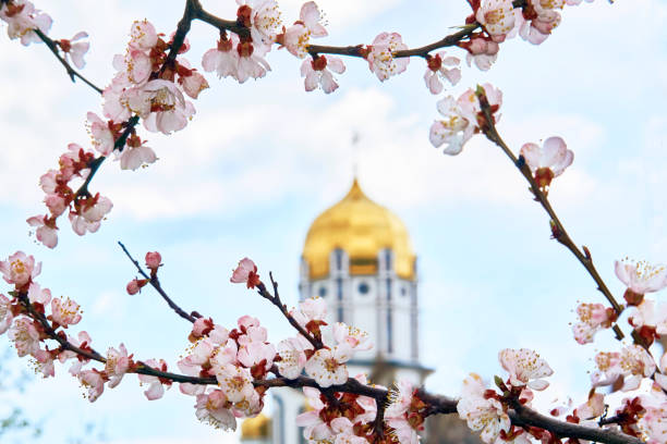 istock Easter. Beautiful church,sky and bright white spring flowers 2070693916