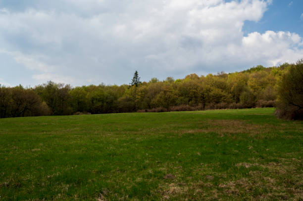 istock Green meadow and forest on a cloudy day. 2070749952