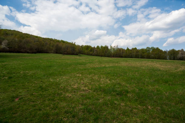 istock Green meadow and forest on a cloudy day. 2070755152