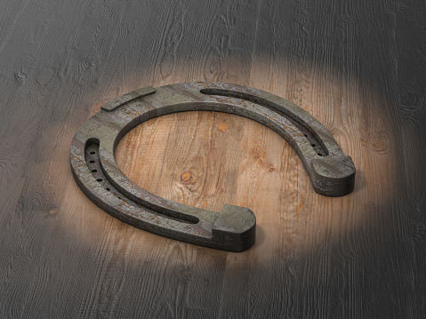 France: Horseshoes on Old Brown Wood Door