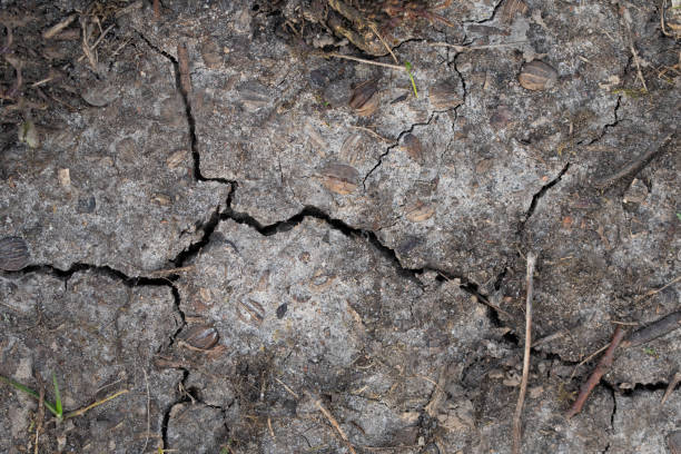 istock Closeup of dry ground with cracks 2070811640