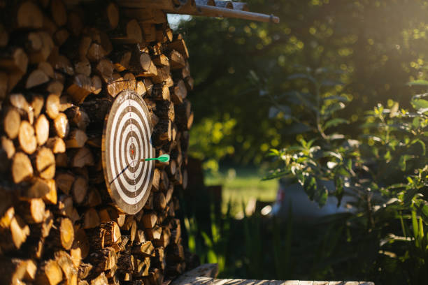 istock Dartboard placed in the yard with dart on it placed in the center 2070831530