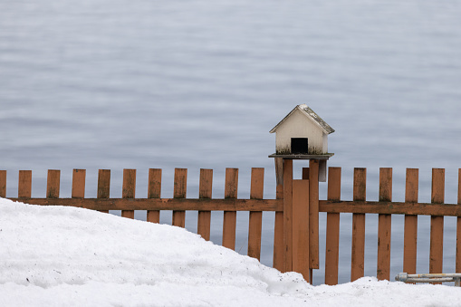 Beautiful winter landscape in arctic with bird nest.