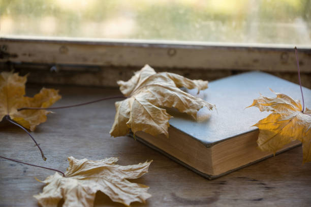 Closed Book Surrounded by Autumn Leaves on a Wooden Table by a Window