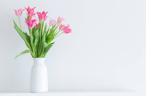 istock pink tulips in white vase on white background 2070925834
