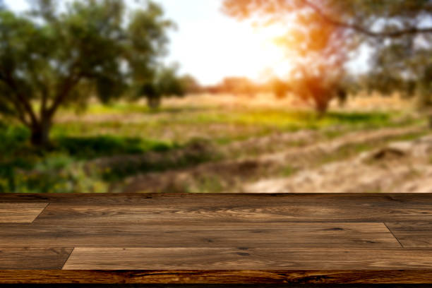 istock empty rustic wooden table for mockup product display near mediterranean olive field ready for harvest 2070925836