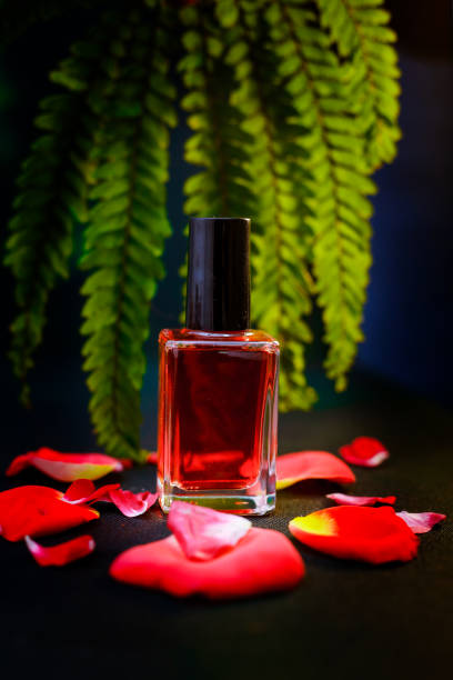 Said View of The Pink Color  nail polish on pink rose petals on black background