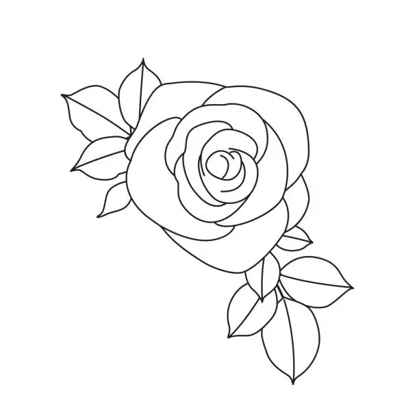 Vector illustration of Rose Flower with Leaves Linear Drawing