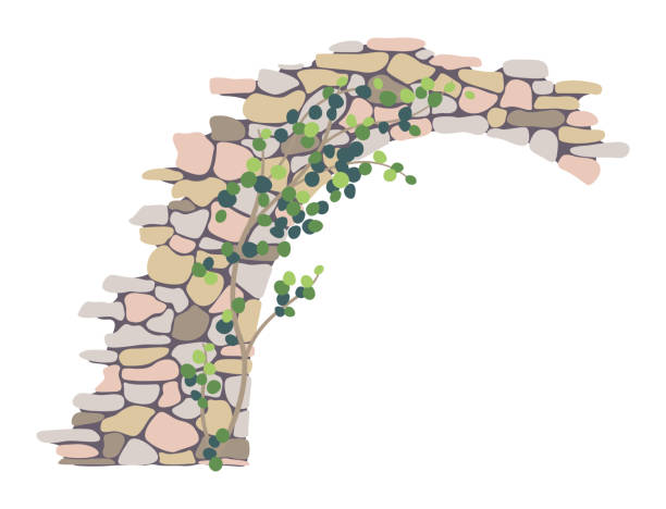 istock Old Ruined Stone Arch and Climbing Plant 2070928955