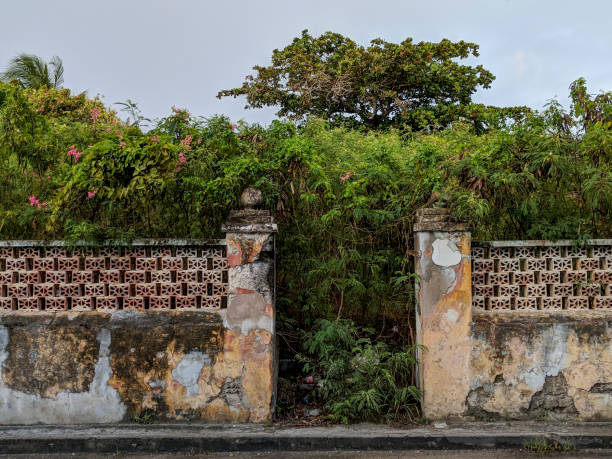 istock Over Grown Entry and a wall, Bridgetown, Barbados 2070929394