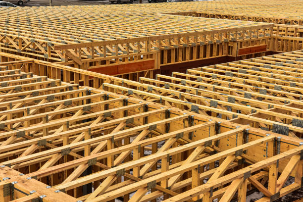 Residential Housing Walls and Trusses Western Colorado Construction Site Framed Home Photo