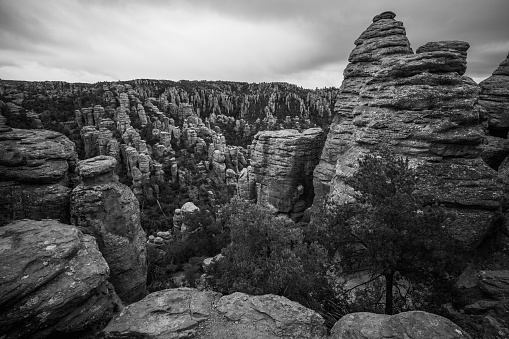 The surreal rock hoodoos of Chiricahua National Monument in Coronado National Forest in Arizona