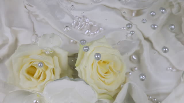 Pearls and white rose petals float on the surface of the water against the background of rose flowers underwater.