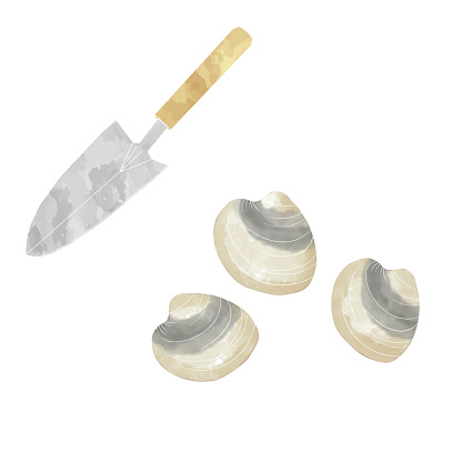 shell and shovel of ebb tide watercolor illustration