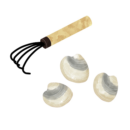 Shells and rakes for tide-pooling Watercolor Illustration