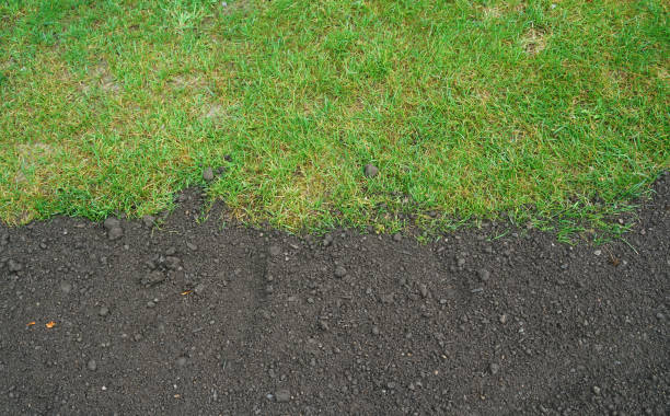 istock green lawn and dirt for new lawn 2071029404