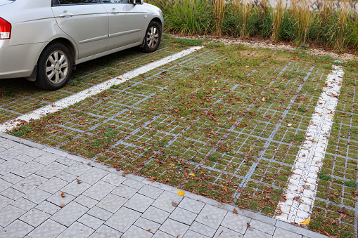 Serene Parking Oasis: Grass-Covered Space