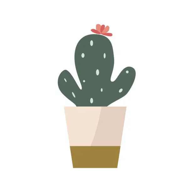 Vector illustration of Home plant cactus with flower in pot