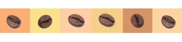 grãos de café contra um fundo de tons de marrom, bege, amarelo. design plano simples. banner, colagem. - coffee crop brown bean beige - fotografias e filmes do acervo
