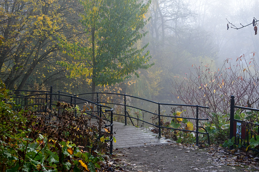 Photo of a bridge during foggy weather in autumn or fall season