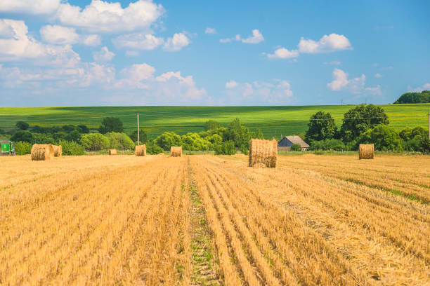 Beautiful summer rural landscape with bales of hay, green hills and blue sky with clouds