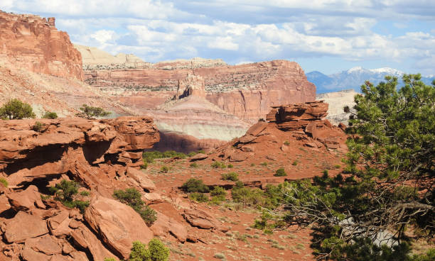 istock Chimney Rock Loop, Capitol Reef National Park, Utah, United States 2071086372
