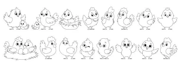 Vector illustration of Large set of chicken family in lineart. Yellow chickens, Hen hatches eggs. Mother hen and chicks. Big and small roosters. Chicken and rooster in the nest. Black lines style.