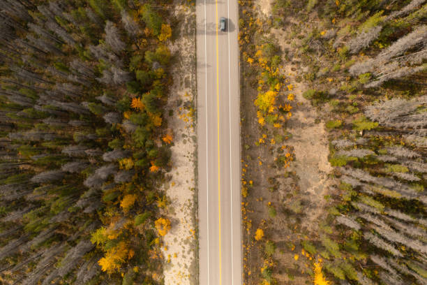 istock Car passing on the Icefield Parkway in autumn. 2071091686