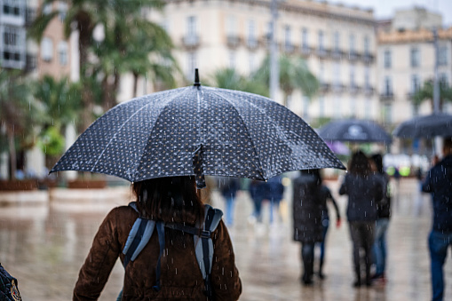 Valencia, Spain. March 9, 2024. Rear view of a woman walking under the rain using umbrella