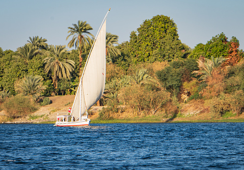 felucca sailboat along the Nile river  with it's iconic white triangular, lateen, sail