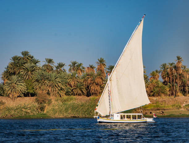 istock felucca sailboat along the Nile river 2071136660