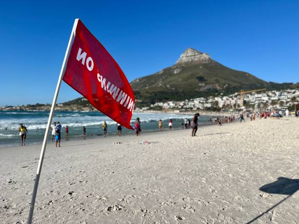 überfüllter strand in camps bay, kapstadt, südafrika - cape town beach crowd people stock-fotos und bilder