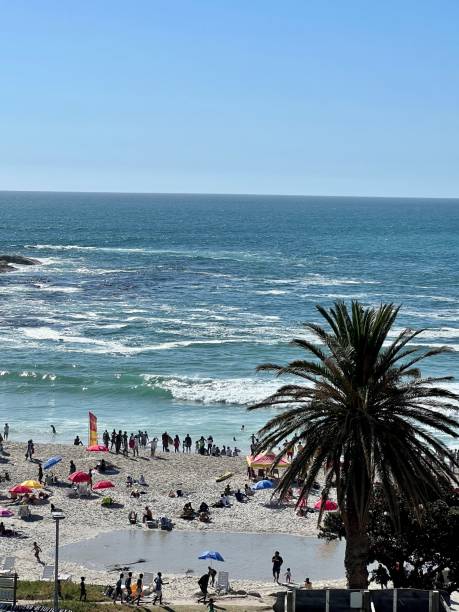 praia lotada em camps bay, cidade do cabo, áfrica do sul - cape town beach crowd people - fotografias e filmes do acervo