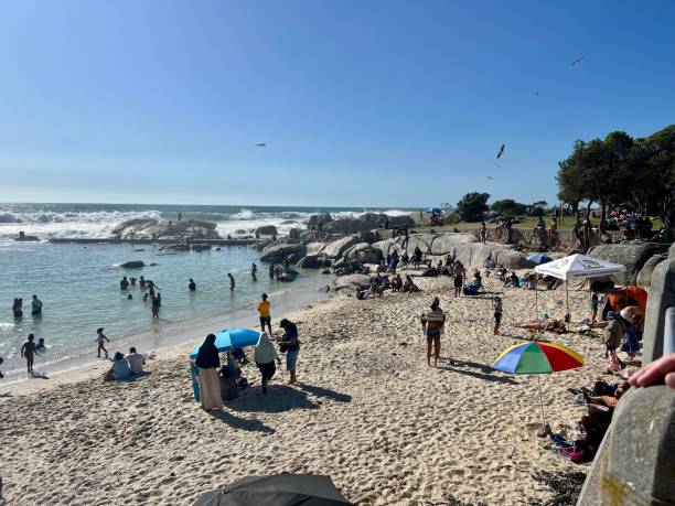 crowded beach in camps bay, cape town, south africa - cape town beach crowd people imagens e fotografias de stock