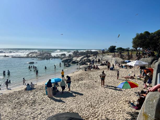 praia lotada em camps bay, cidade do cabo, áfrica do sul - cape town beach crowd people - fotografias e filmes do acervo