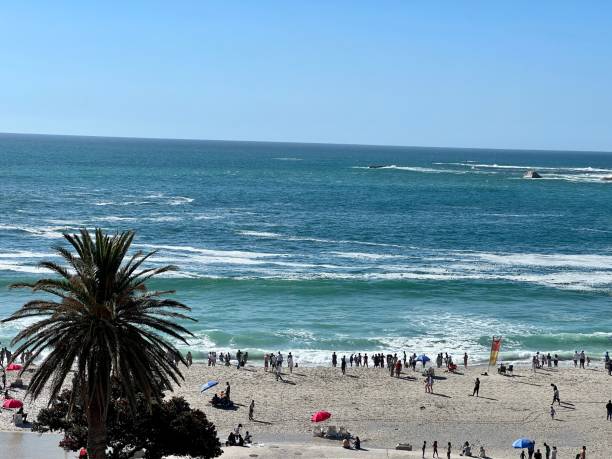 crowded beach in camps bay, cape town, south africa - cape town beach crowd people imagens e fotografias de stock