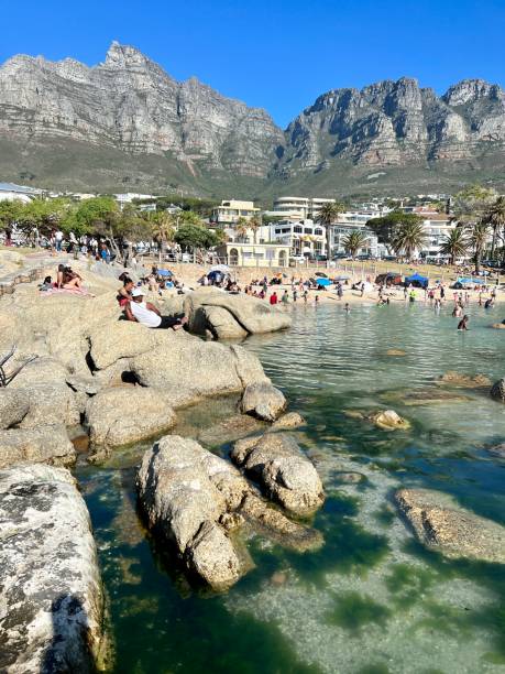 praia lotada em camps bay, cidade do cabo, áfrica do sul - cape town beach crowd people - fotografias e filmes do acervo