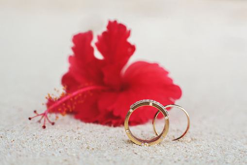 Elegant wedding rings with diamonds. Hawaiian flower..