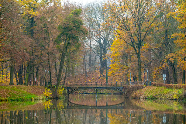 Autumn landscape with bridge over the lake and forest
