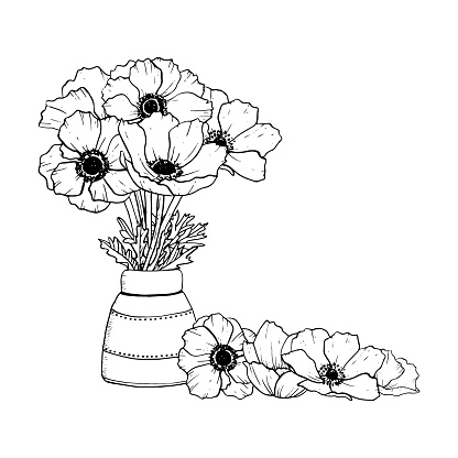 Anemones wildflowers bouquet in ceramic vase and pile of petals vector illustration. Floral ink drawing for banners and coloring pages.