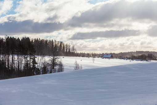winter landscape with blizzard