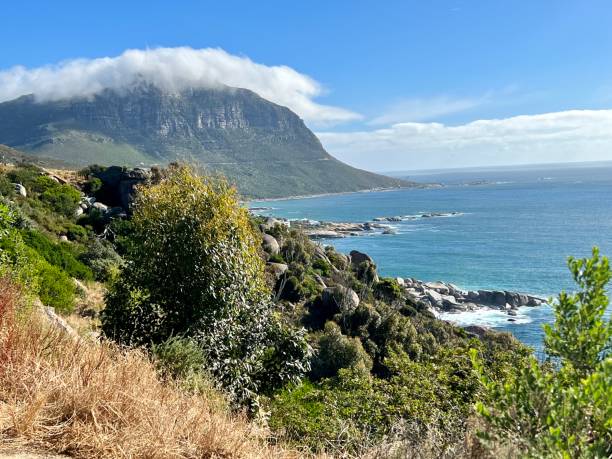 istock South African Coastline 2071233758