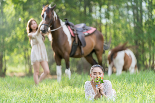 A beautiful young woman on the grass. Young woman in white dress with horse. Space for text.
