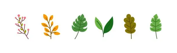 Vector illustration of Six different types of leaf illustrations type three.