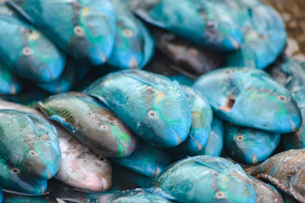 istock Fresh Seafood Delights at the Fishmonger's Stall 2071303832