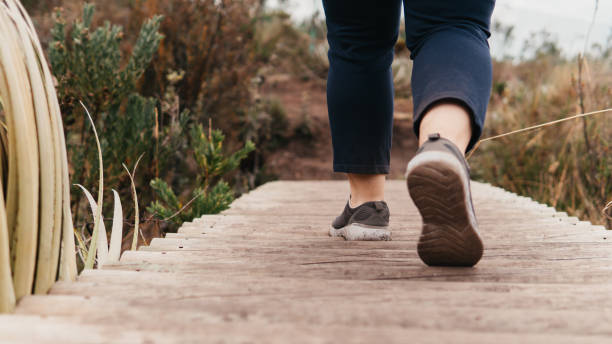 istock Hiker Walking on Wooden Pathway 2071310784