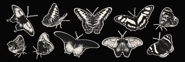 Vector illustration of Butterflies halftone collage elements set vector illustration