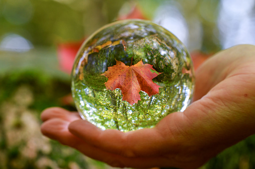 A crystal ball in a hand of a woman during autumn or fall season