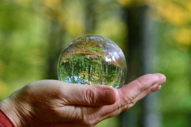 istock A crystal ball in nature 2071320775