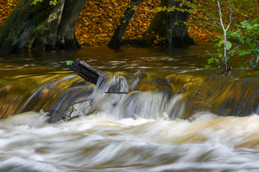 Photo of water flowing in a river during autumn or fall season